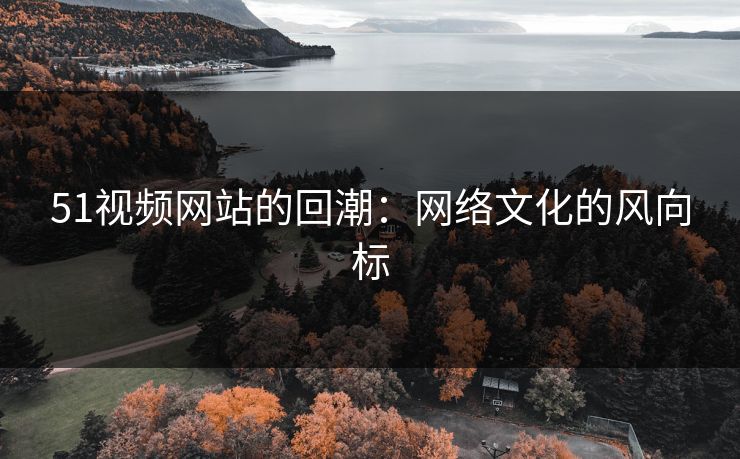 51视频网站的回潮：网络文化的风向标