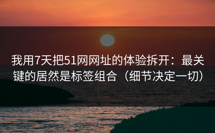 我用7天把51网网址的体验拆开：最关键的居然是标签组合（细节决定一切）